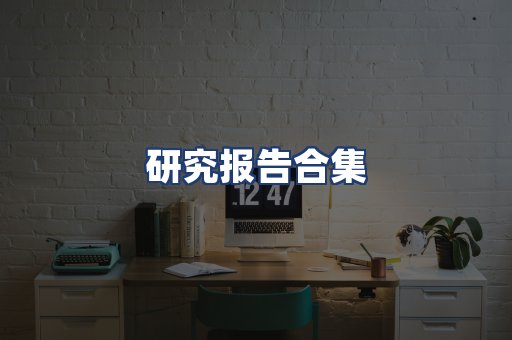 研究报告合集